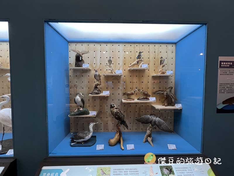 北竿橋仔漁村展示館之旅