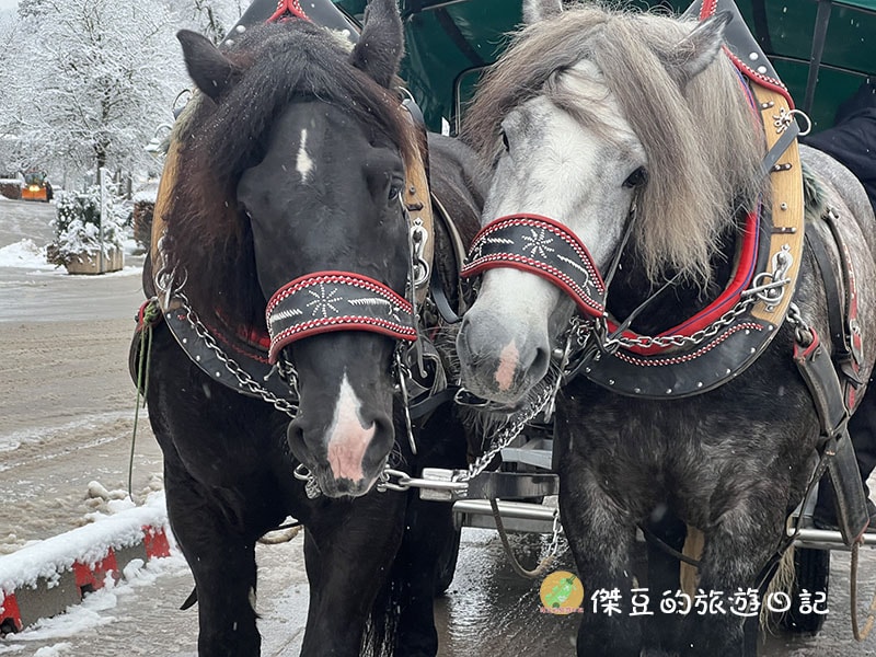 德國巴伐利亞新天鵝堡之旅:童話般的雪中奇境│國外旅遊│德國旅遊│德國巴伐利亞景點 - 第4張圖 德國巴伐利亞新天鵝堡之旅