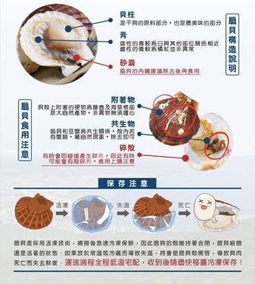【國民鮪魚tunaking魚有王X姐夫嚴選|鮪魚煎餃、手掌大扇貝、鮪魚肉圓】美味評測│美食開箱 - 第33張圖 國民鮪魚tunaking魚有王