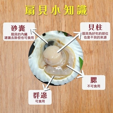【國民鮪魚tunaking魚有王X姐夫嚴選|鮪魚煎餃、手掌大扇貝、鮪魚肉圓】美味評測│美食開箱 - 第34張圖 國民鮪魚tunaking魚有王