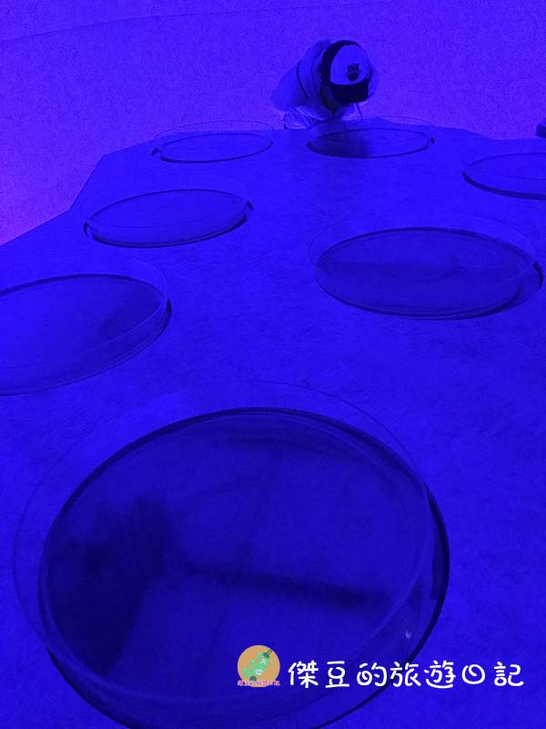 馬祖藍眼淚生態館