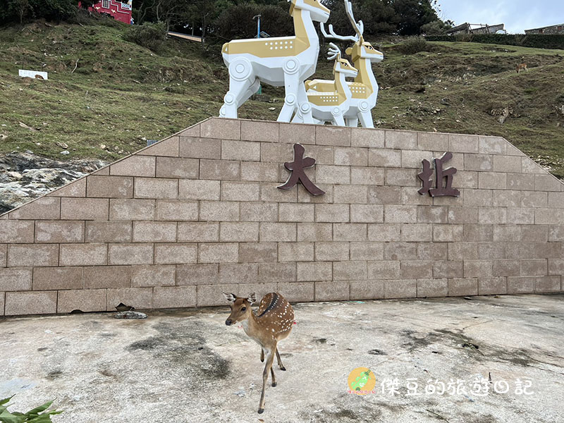 馬祖北竿大坵島一日散步