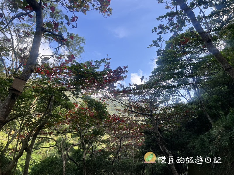 屏東秘境|南迴雙流國家森林遊樂區:IG 爆紅「水上跳石」超好拍!溪水清澈見底,瀑布步道實走心得 - 第7張圖 南迴雙流國家森林遊樂區