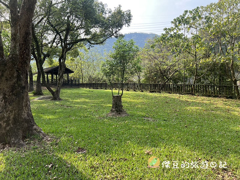 【阿里山公路必遊】旺萊山愛情大草原遊記：超大方！整塊土鳳梨酥免費試吃，搭配解膩果醋太完美│嘉義番路鄉