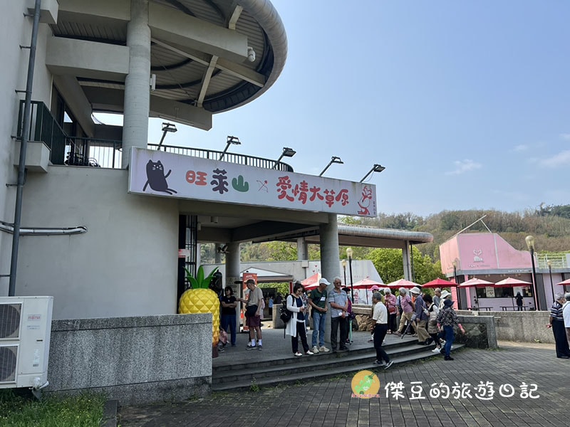 【阿里山公路必遊】旺萊山愛情大草原遊記：超大方！整塊土鳳梨酥免費試吃，搭配解膩果醋太完美│嘉義番路鄉