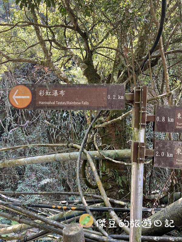【南投信義鄉】走進山林深呼吸!東埔溫泉風景區彩虹瀑布健走紀錄:路況好走、瀑布壯觀,流點汗真的太值得了 - 第17張圖 【南投信義鄉】走進山林深呼吸!東埔溫泉風景區彩虹瀑布健走紀錄:路況好走、瀑布壯觀,流點汗真的太值得了
